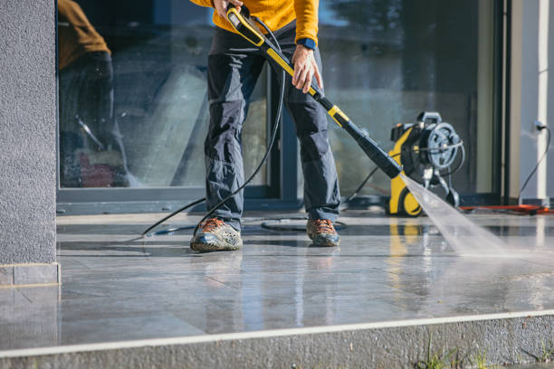Best Solar Panel Cleaning  in Elroy, WI