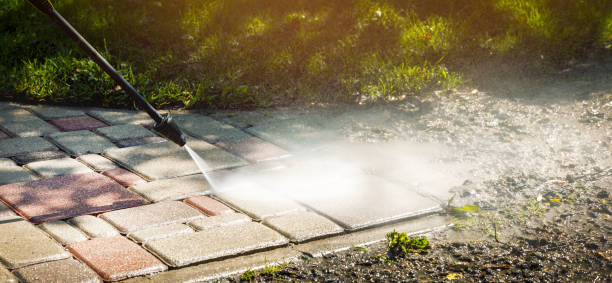 Best Pool Deck Cleaning  in Elroy, WI